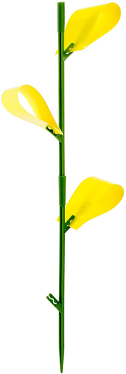 Houseplant Sticky Stakes Insect Traps