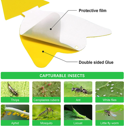 36 Pcs Sticky Traps for Fruit Fly, Whitefly, Fungus Gnat, Mosquito and Bug, Yellow Sticky Insect Catcher Traps for Indoor/Outdoor/Kitchen, Extremely Sticky Fly Trap, Non-Toxic, 4 Shapes