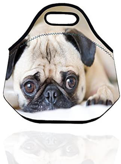 Kids Insulated Neoprene Lunch Bag/Lunch Box/Lunch Tote/Picnic Bags Tote Food Container Gourmet Tote Cooler Warm Pouch Lightweight With Rugged Zipper (Cute Small Pug)