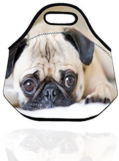 Kids Insulated Neoprene Lunch Bag/Lunch Box/Lunch Tote/Picnic Bags Tote Food Container Gourmet Tote Cooler Warm Pouch Lightweight With Rugged Zipper (Cute Small Pug)