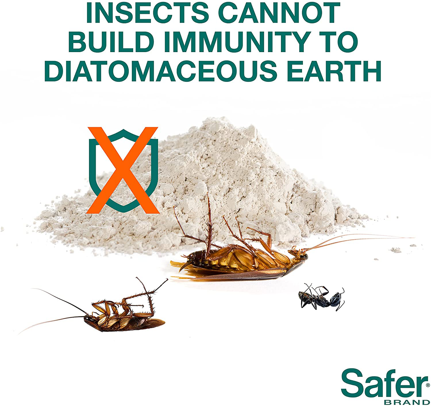 Safer 51703 Diatomaceous Earth-Bed Bug Flea, Ant, Crawling Insect Killer 4 lb