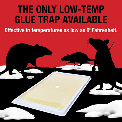 Catchmaster Rat, Mouse, Rodent & Insect Cold Weather Professional Strength Glue Traps - Non Toxic - 6 Glue Trays