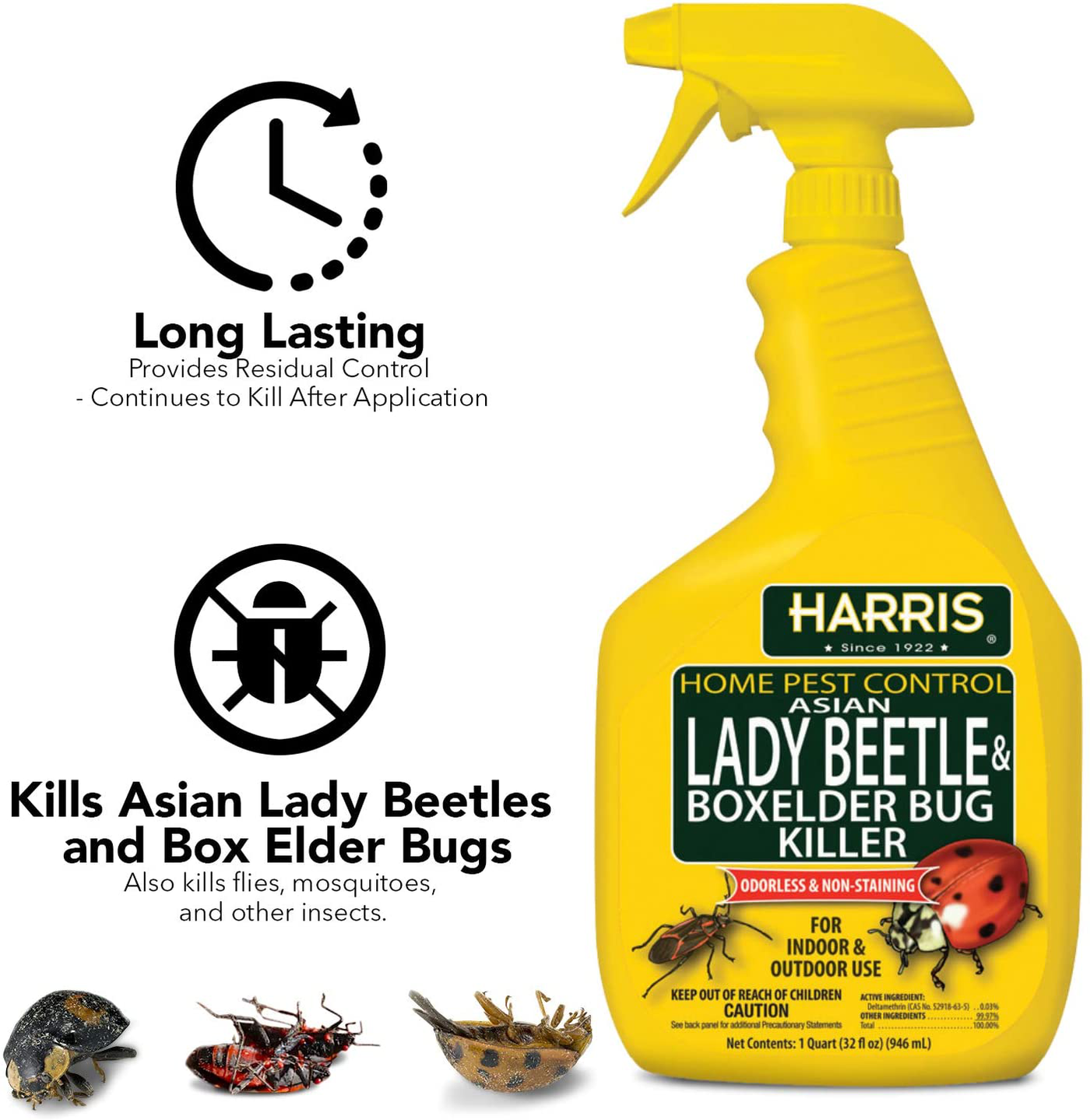 HARRIS Asian Lady Beetle and Box Elder Killer, Liquid Spray with Odorless and Non-Staining Extended Residual Kill Formula (32oz)