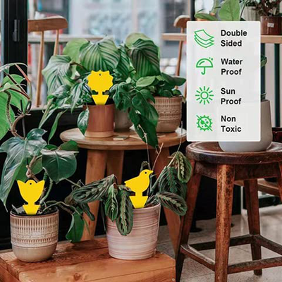 Sticky Traps for Fruit Fly Fungus Gnat, Mosquito & Bug 2 Ways Use-Hangable & Insertable, Best Effective Capture, Yellow Extremely Sticky Insect Trap Indoor/Outdoor/Kitchen Non-Toxic, 4 Shapes