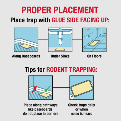 Catchmaster Mouse & Insect Professional Strength Glue Traps - Non Toxic - 6 Glue Trays