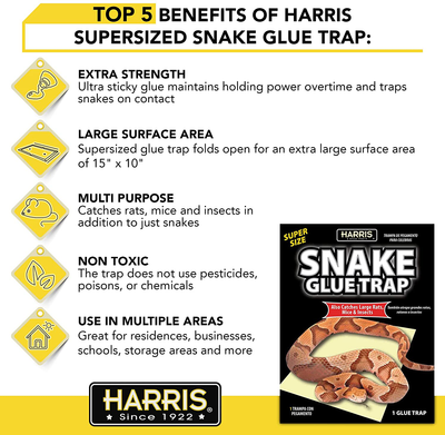 Harris Snake Glue Trap, Super Sized for Snakes, Rats, Mice and Insects