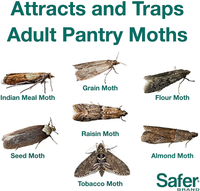 Safer Brand 05140 The Pantry Pest Trap, 2 Moth Traps