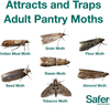 Safer Brand 05140 The Pantry Pest Trap, 2 Moth Traps