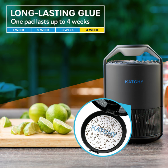 KATCHY Insect Trap 4-Pack of Refillable Glue Boards