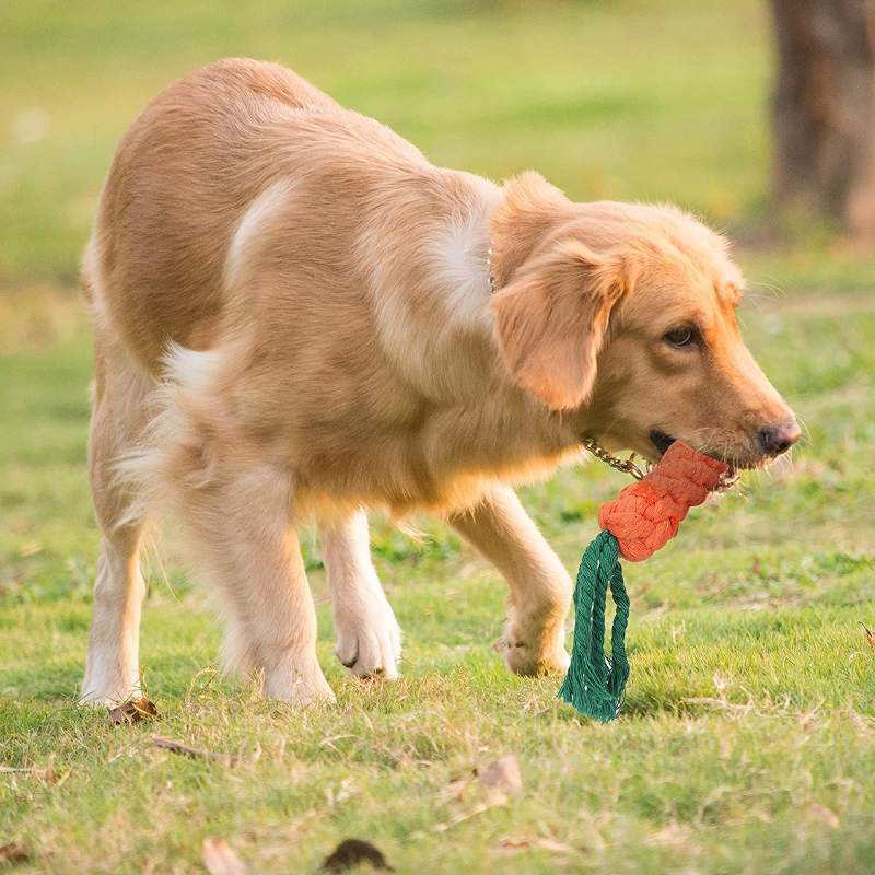 12 Pack Puppy Teething Chew Toy Set 