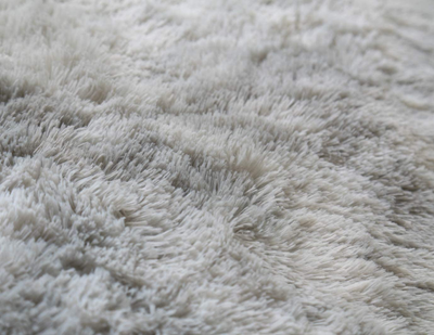 Soft Fluffy Area Rugs for Living Room,Plush Shaggy Nursery Rug Furry Throw Carpets for Kids Bedroom Fuzzy Rugs Indoor Home Decorate Mat…