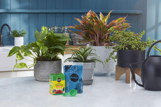 Miracle-Gro Water Soluble All Purpose Plant Food, 8 Oz.