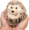 Douglas Spunky Hedgehog Plush Stuffed Animal