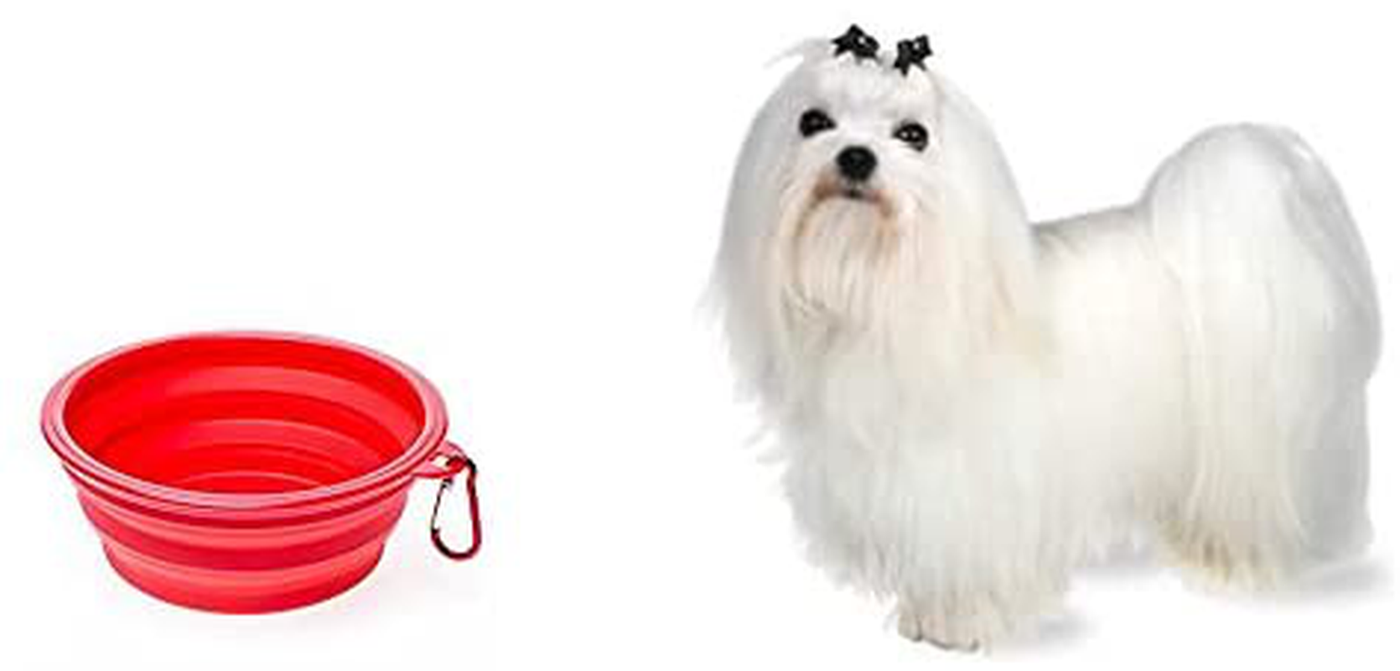 2 pcs Round Pet Bowl, Collapsible for Dog & cat red Bowl, Food Grade Silicon BPA Free, Portable Travel Bowl