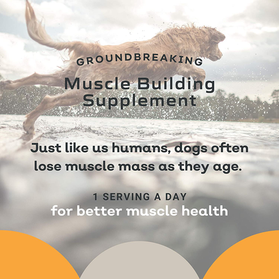 Canine Muscle Formula - Clinically Proven All-Natural Muscle Building Supplement 