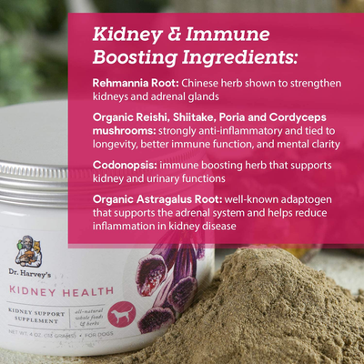 Dr. Harvey's Kidney Health Kidney Support Supplement for Dogs (4 Ounces)