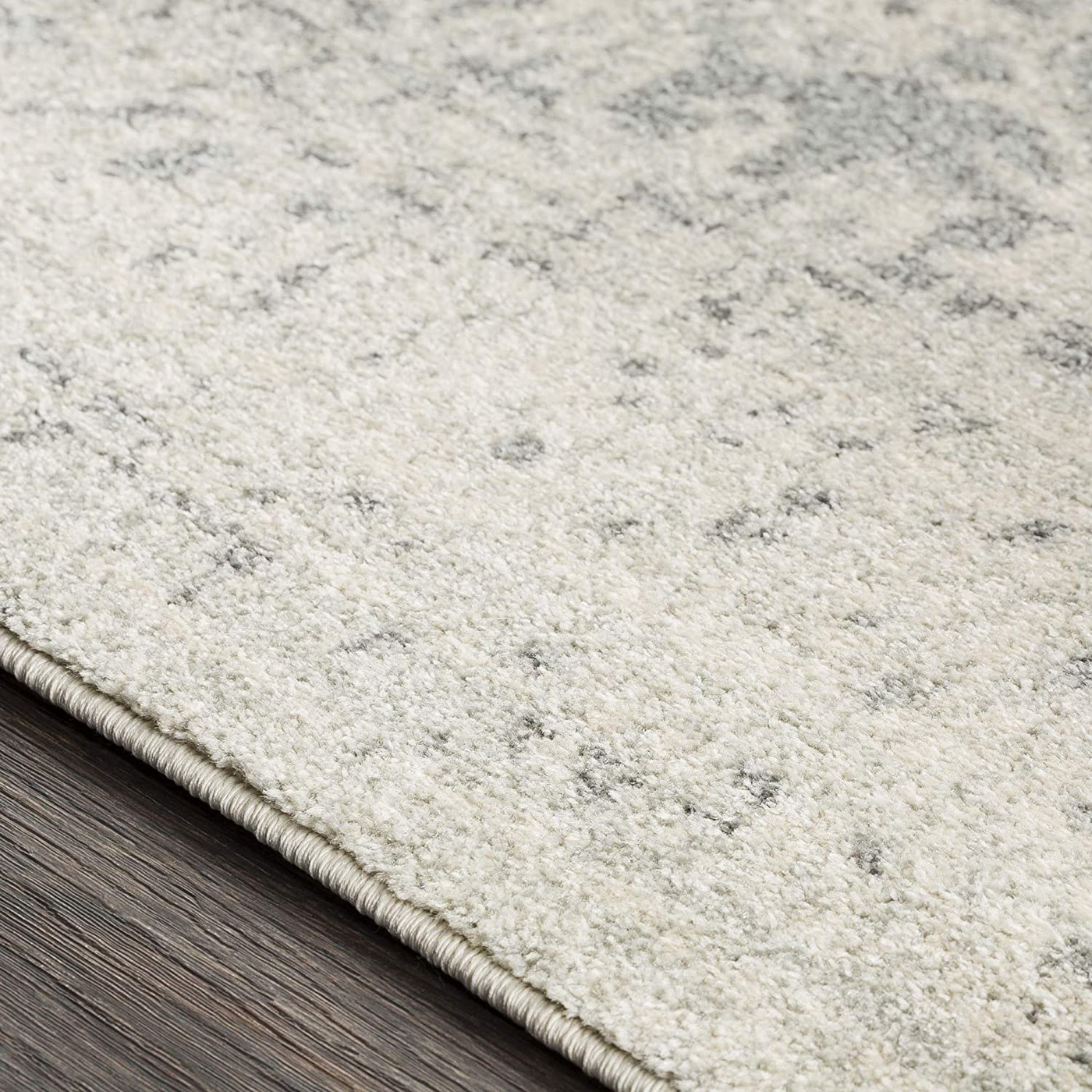 Janine Vintage Medallion Area Rug 2' x 3' Burnt Orange
