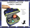 Dinosaur Lunch-Boxes for Boys Toddlers | Kids Lunch-Box Bag | Kindergarten Pre-School Baby Boy Girl Daycare Insulated Containers | Small Lonchera Para Niños | Dino Blue Bag