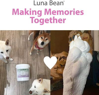 Luna Bean Keepsake Hands Casting Kit | DIY Plaster Statue Molding Kit | Hand Holding Craft for Couples, Adult & Child, Wedding, Friends, Anniversary