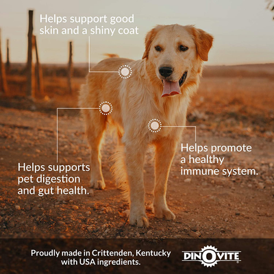 Dog Supplement - Immune + Digestive, Skin + Coat Support, Vitamins, Minerals, Omega 3