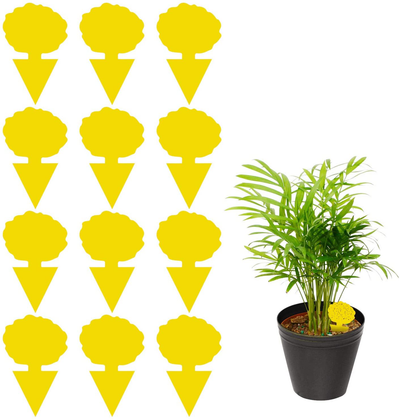 12 Pack Sticky Trap, Fruit Fly and Fungus Gnat Trap Killer Indoor and Outdoor, Protect The Plant, Non-Toxic and Odorless(Tree-A1 Shape)