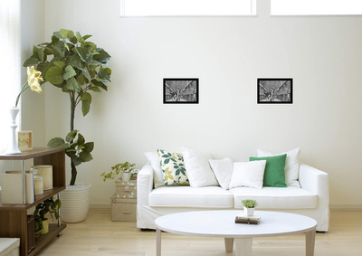 8x12 Black Gallery Picture Frame 2-Pack - Wide Molding - Includes Both Attached Hanging Hardware and Desktop Easel - Display Pictures 8 x 12 Inches - Eight by Twelve - Two Frames