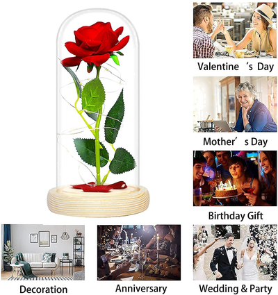 Christmas Rose Gifts for Her, Beauty and The Beast Rose in Glass Dome, Anniversary Rose Gift for Her Romantic, Romantic Xmas Thanksgiving Anniversary Valentines Day Gifts for Her Wife Girlfriend