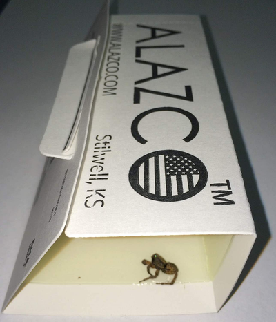 ALAZCO 12 Glue Traps - Excellent Quality Glue Boards Mouse Trap Bugs Insects Spiders, Brown Recluse, Crickets Cockroaches Lizard Scorpion Mice Trap & Monitor Non-Toxic Made in USA