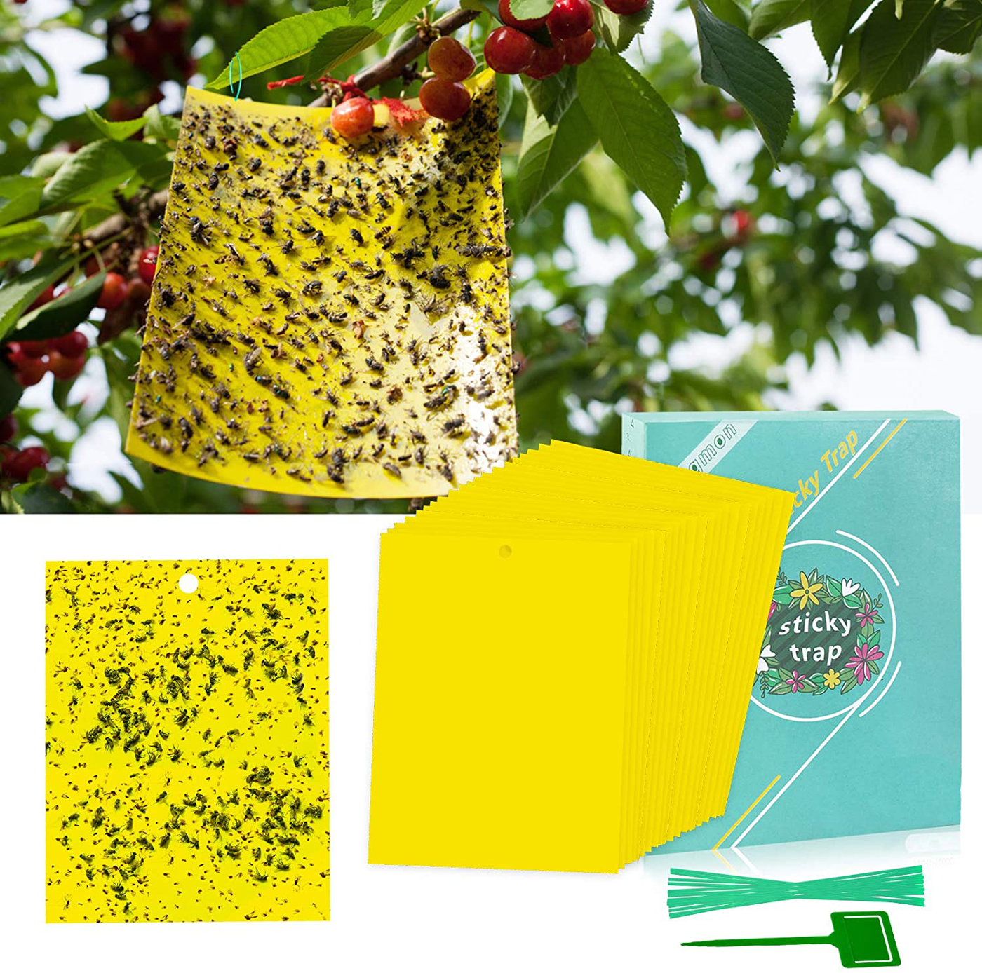 48 Pcs Fruit Fly Trap, Sticky Gnat Traps for Indoor and Outdoor, Insect Killer for Flying Plant Insect Such as Mosquitos, Aphids, Leafminers, Fungus Gnats