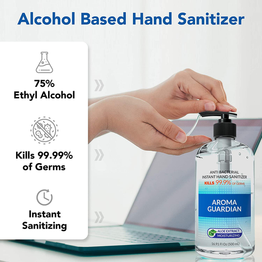 Hand-E Hand Sanitizer Gel Pump - 6 Pack, 16 oz Large Pump Bottle - 75% Ethyl Alcohol Based Instant Sanitizing Gel With Moisturizing Aloe - Kills 99.9% of Germs - Rinse Free