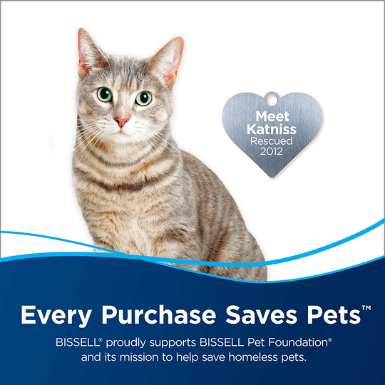 BISSELL Multi-Surface Pet Formula with Febreze Freshness for Crosswave (80 oz), 2295L