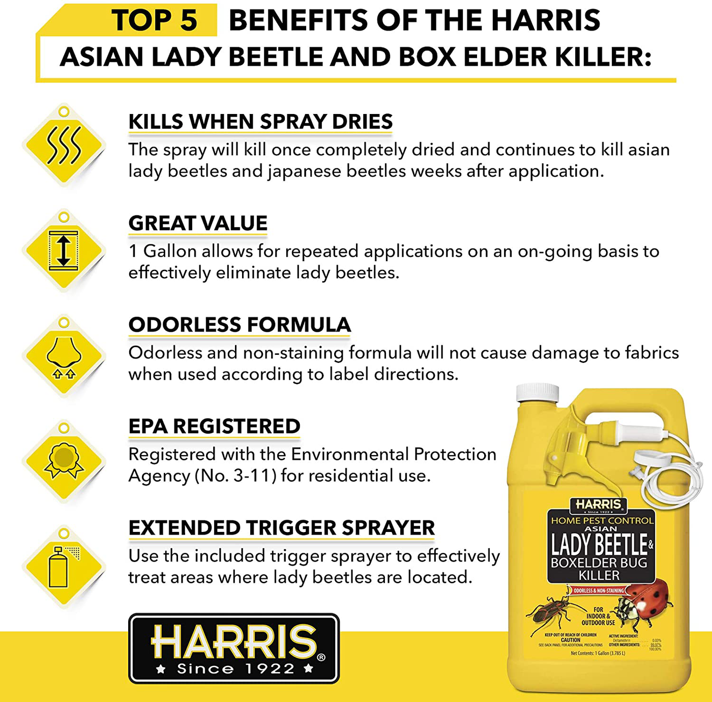 HARRIS Asian Lady Beetle, Japanese Beetle, and Box Elder Killer, Liquid Spray with Odorless and Non-Staining Extended Residual Kill Formula (Gallon)