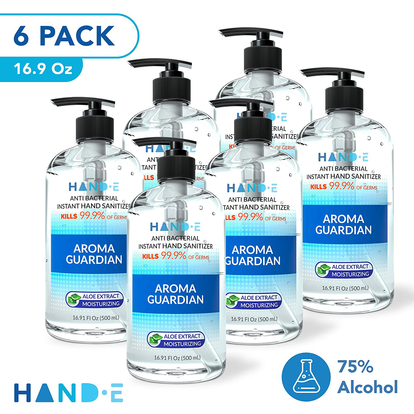 Hand-E Hand Sanitizer Gel Pump - 6 Pack, 16 oz Large Pump Bottle - 75% Ethyl Alcohol Based Instant Sanitizing Gel With Moisturizing Aloe - Kills 99.9% of Germs - Rinse Free