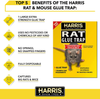 Harris King Size Rat & Mouse Glue Trap