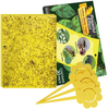 30-Pack Dual-Sided Yellow Sticky Gnat Traps for Indoor/Outdoor Flying Plant Insect Like Fungus Gnats, Whiteflies, Aphids, Leaf Miners, Thrips, Other Flying Plant Insects - 6x8 Inches
