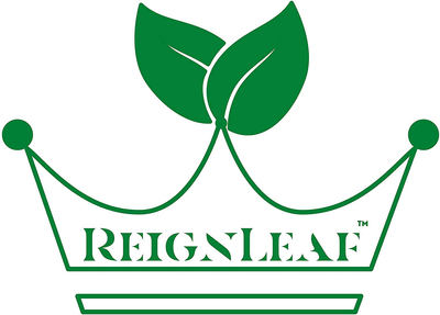 ReignLeaf Drying Mat For Pour Over Coffee Maker, Chemex And Any Other Pour Over Glass Coffee Makers And Carafes - Drying Mat Allows A Pour Over Coffee Maker To Drip Dry When Upside Down