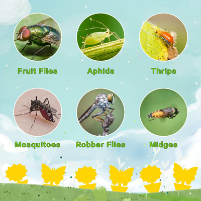 Mosqueda Fruit Fly Traps Fungus Gnat Traps Yellow Sticky Bug Traps 36 Pack Non-Toxic and Odorless for Indoor Outdoor Use Protect The Plant