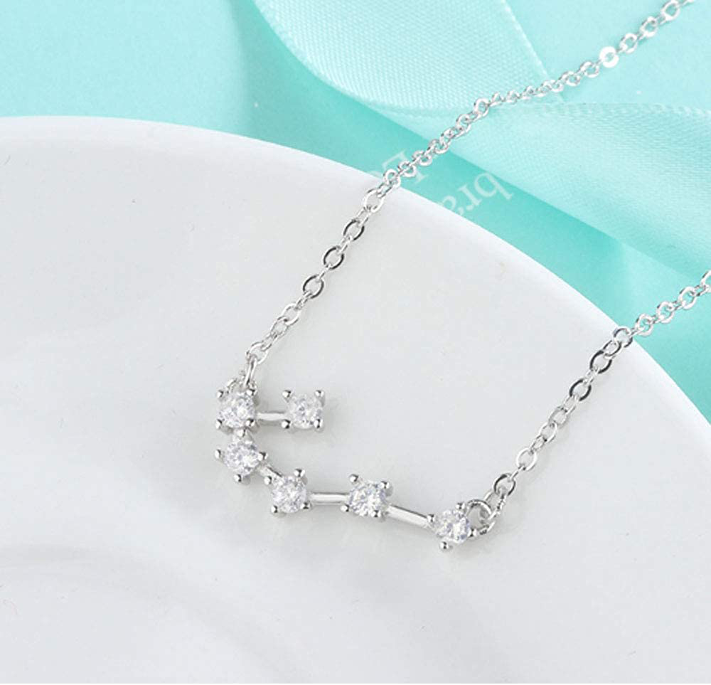 925 Sterling SilverCZ Horoscope Zodiac 12 Constellation Astrology Pendant Necklace for Women Girls Teen Girls and Kids Birthday Gift
