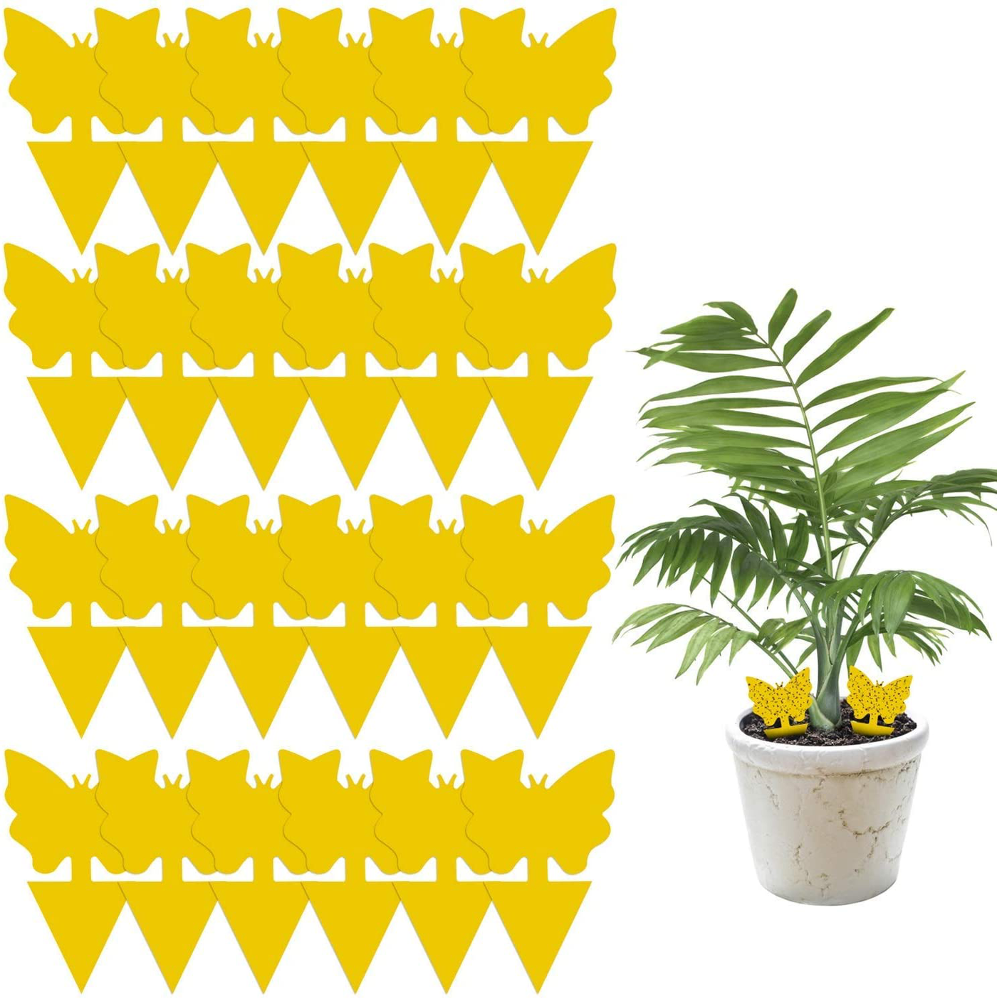 24 Pack Sticky Fruit Fly and Fungus Gnat Trap Yellow Sticky Bug Insect Killer for Indoor and Outdoor Houseplants