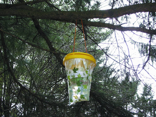 Victor Poison-Free M370 Yellow Jacket Magnet Disposable Bag Trap