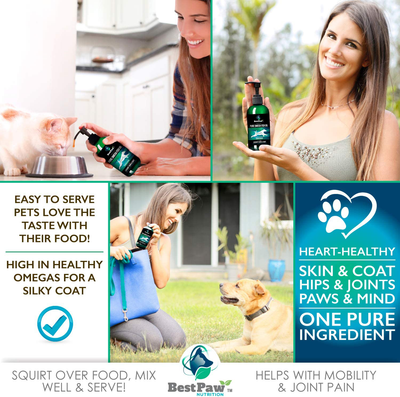 Best Paw Nutrition - Pure Omega Fish Oil for Dogs, Cats & Ferrets - Liquid Supplement for Joint Pain Relief - Soft Skin & Shiny Coat - Omega 3 Fish Oil Pets Love