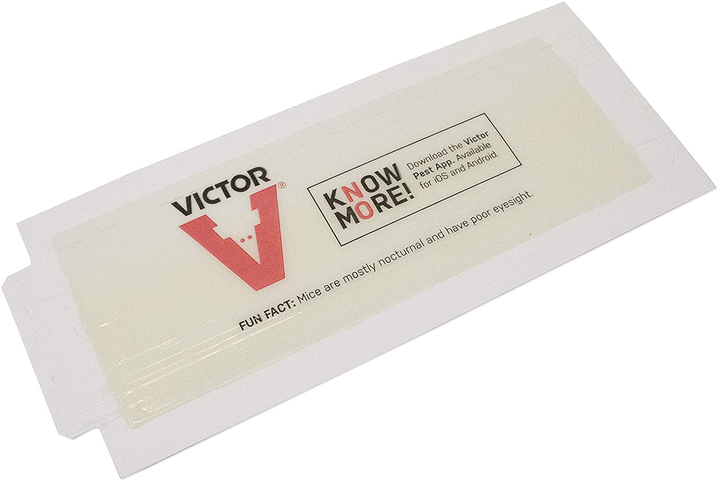 Victor M309 72 Pack Insect & Mouse Glue Board, White