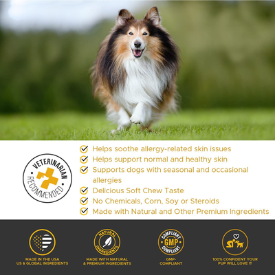 PetHonesty Allergy SkinHealth - Fish Oil for Dogs with Omegas, DHAGold, Flaxseed, Probiotics for Itch-Free Skin, Shiny Coats, Hotspots, Reduce Shedding - Soft Chews for Healthy Skin & Coat