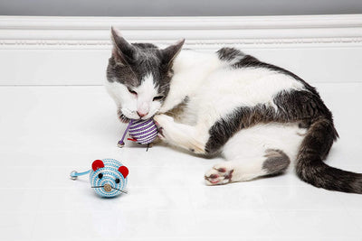 Hartz Cattraction Silver Vine & Catnip Cat Toys