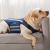 Dog Anxiety Vest, Comfort Dog Anxiety Relief Jacket, Breathable Shirts for Dogs, Soft Dog Anxiety Coat Vest, Puppy Anxiety Warp Calming Thunder Shirt for Pet (M, Blue)
