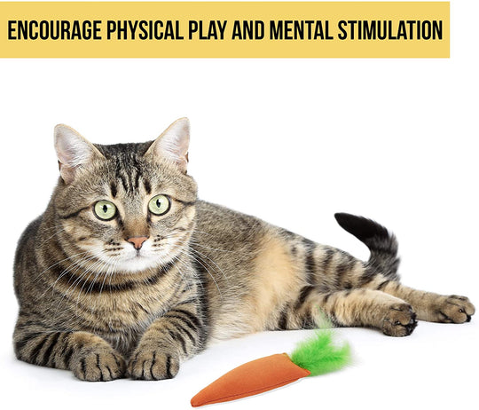 OurPets 100 Percent North American Catnip Filled Cat Toys (Interactive Cat Toys for Indoor Cats, Kitten Toy,Cat Chew Toy & Catnip Toys for Cats) Great for Cats who Enjoy Catnip & Interactive Cat Toys