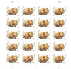 USPS Celebration Corsage Two Ounce 2017 Forever Stamps - Booklet of 20 Postage Stamps - For Birthdays, Weddings, Anniversaries, and Other Celebrations