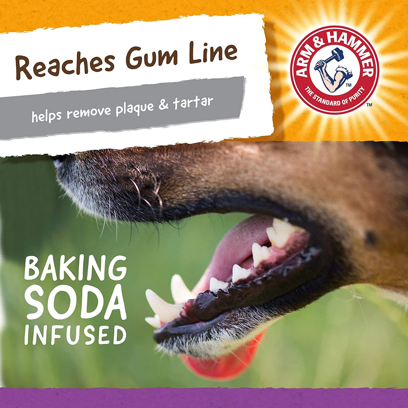 Arm & Hammer Nubbies Dental Toys T-Rex Dental Chew Toy for Dogs | Best Dog Chew Toy for Moderate Chewers | Reduces Plaque & Tartar Buildup Without Brushing