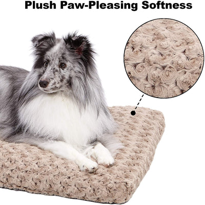 MidWest Homes for Pets Plush Dog Bed | Coco Chic Dog Bed & Cat Bed