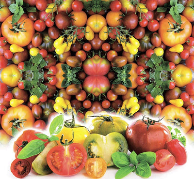  Vegetable Tomato Kaleidoscope Variety Mix (from Small to Giant) - 50 Seeds